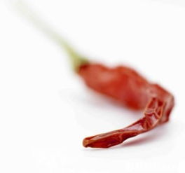 专业商业摄影服务——play explore