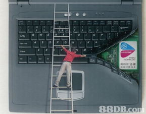 珠宝摄影 探索专业摄影服务的璀璨世界