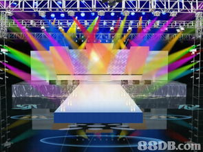 从胶袋公司到摄影服务 商业搜索的多元世界